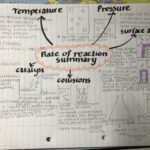 dayna - reaction rate summary-150x