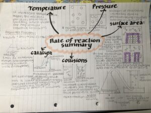 dayna - reaction rate summary-300x