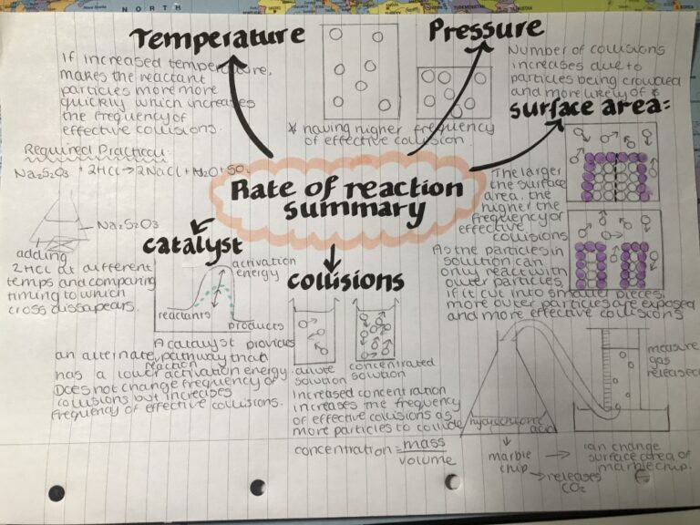 dayna - reaction rate summary-768x