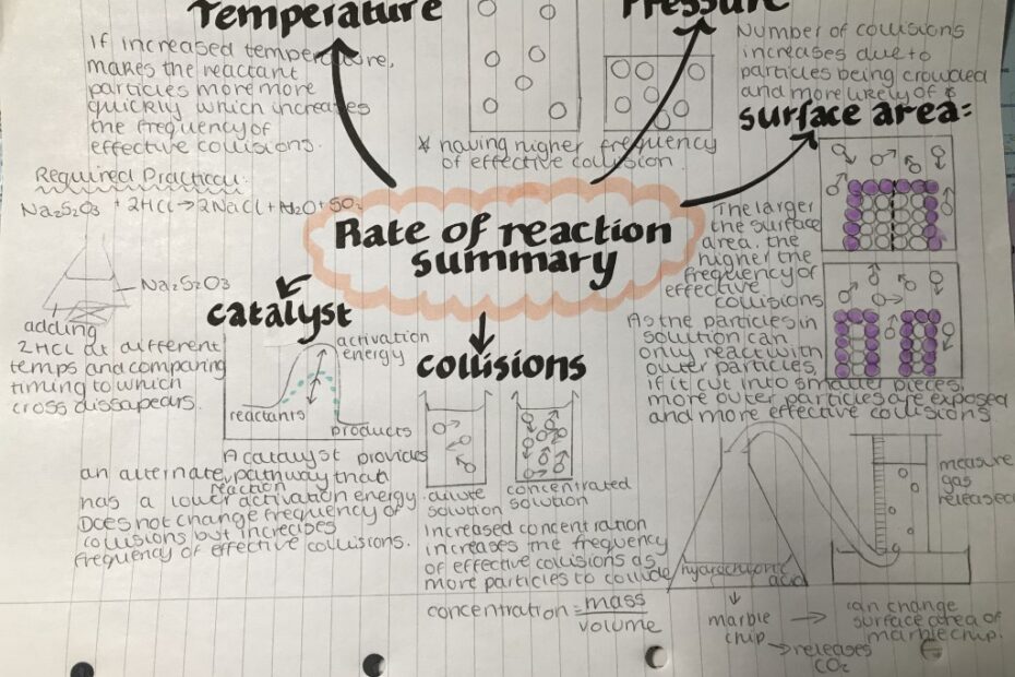 dayna - reaction rate summary-930x
